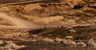 亚伦·贾奇赛后谈击球手感回归